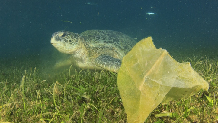 Solving the ocean plastics blight - a systems approach